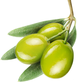 GREEN OLIVE