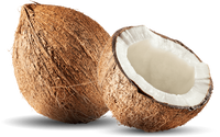 organic coconut